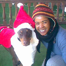 Dogs as Santa Claus