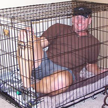 In The Dog House